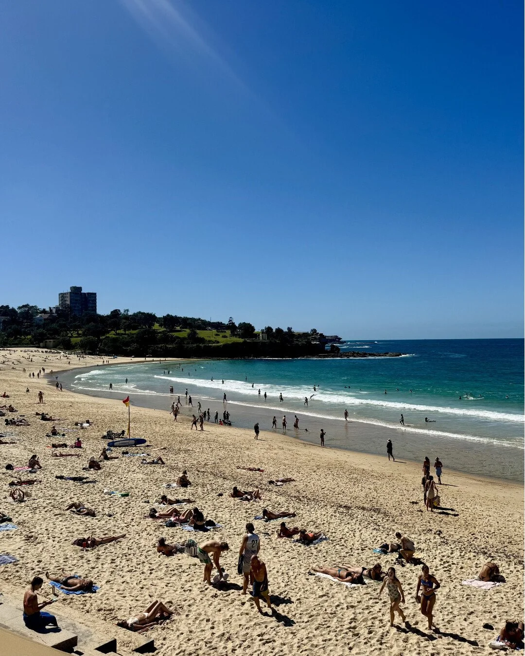 This is what autumn by the bay looks like 🍂