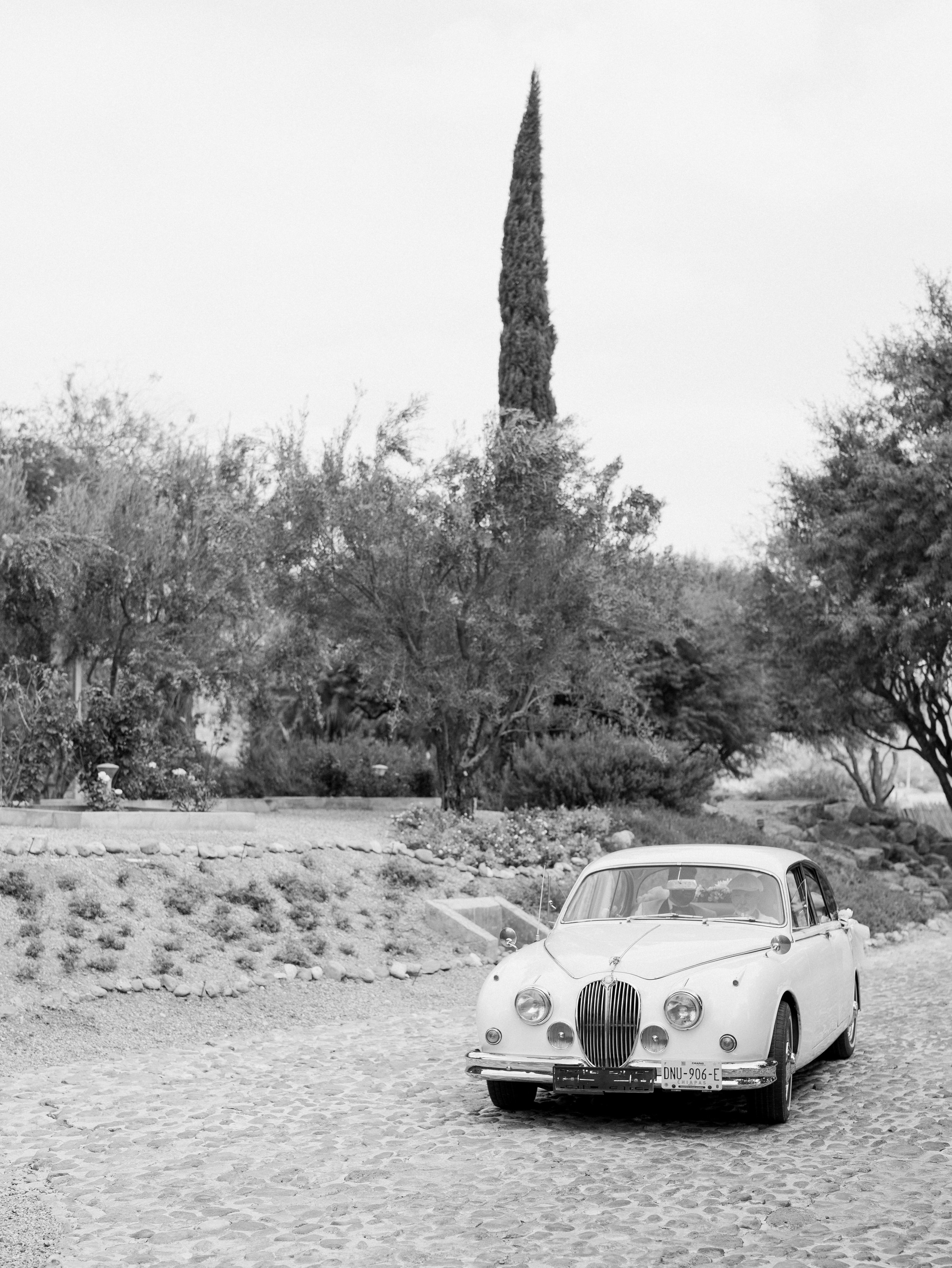 WeddingDay_V&C-450.jpg