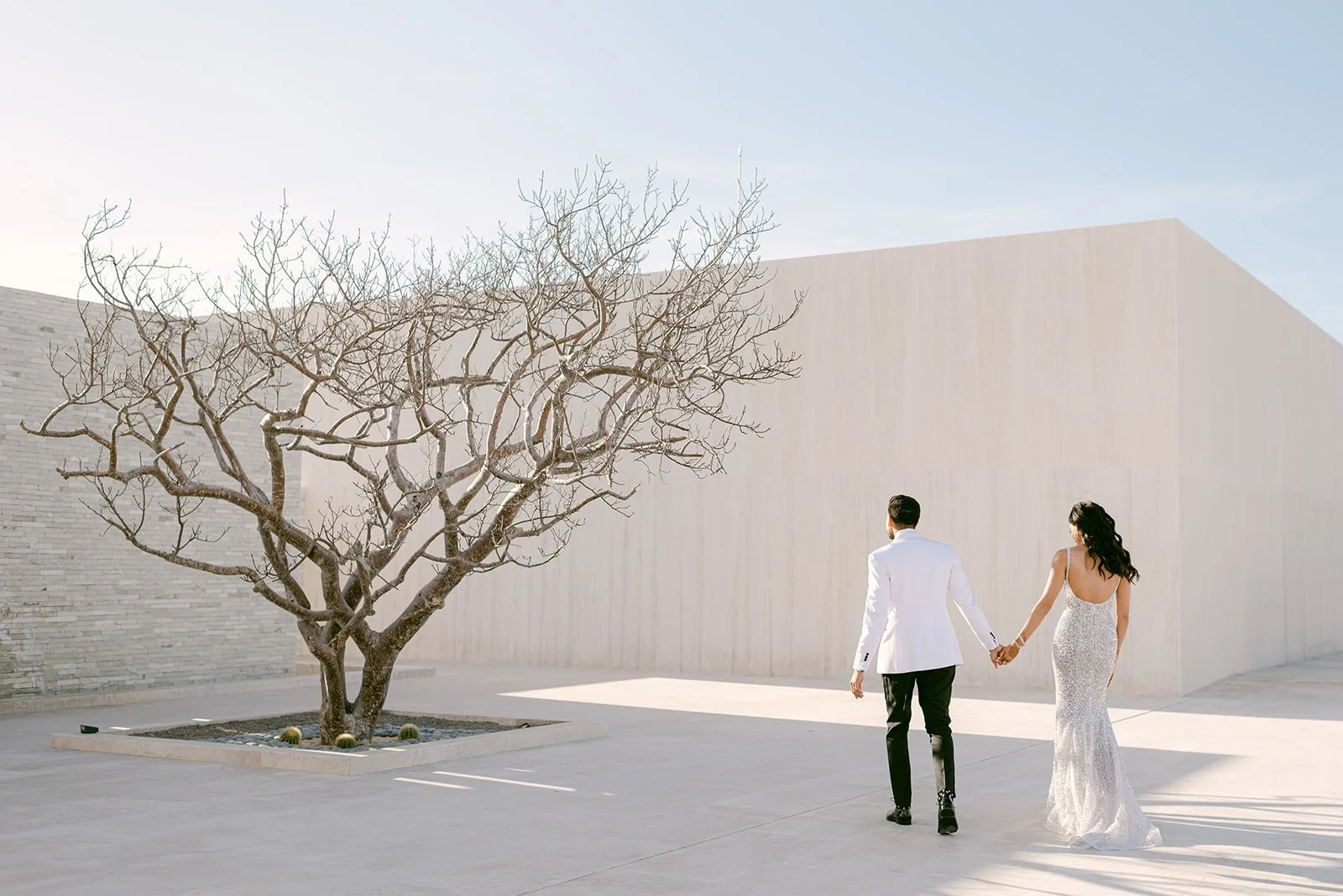 Jasmine+Aadit-3-718.jpg