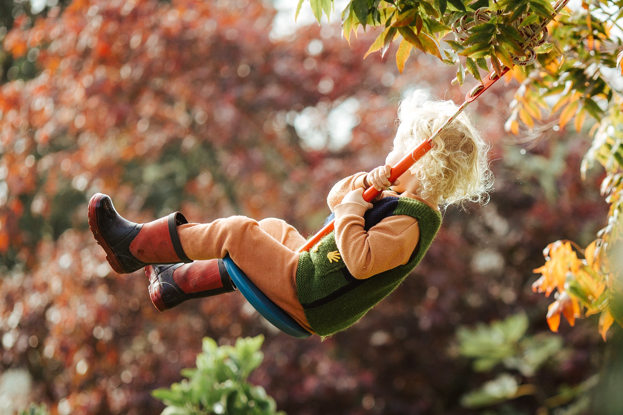 Neighbour swing-4.jpg