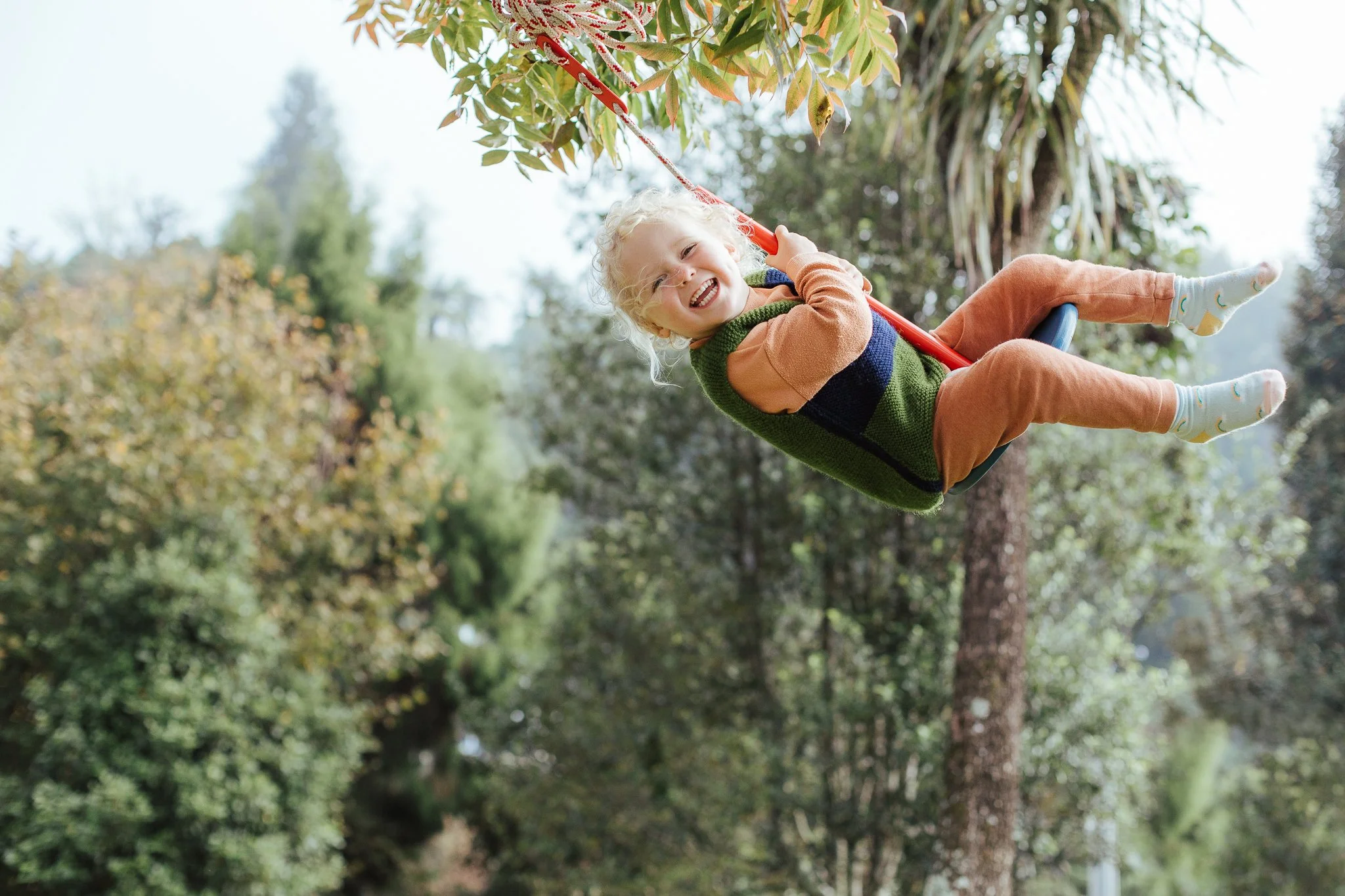 Neighbour swing-19.jpg