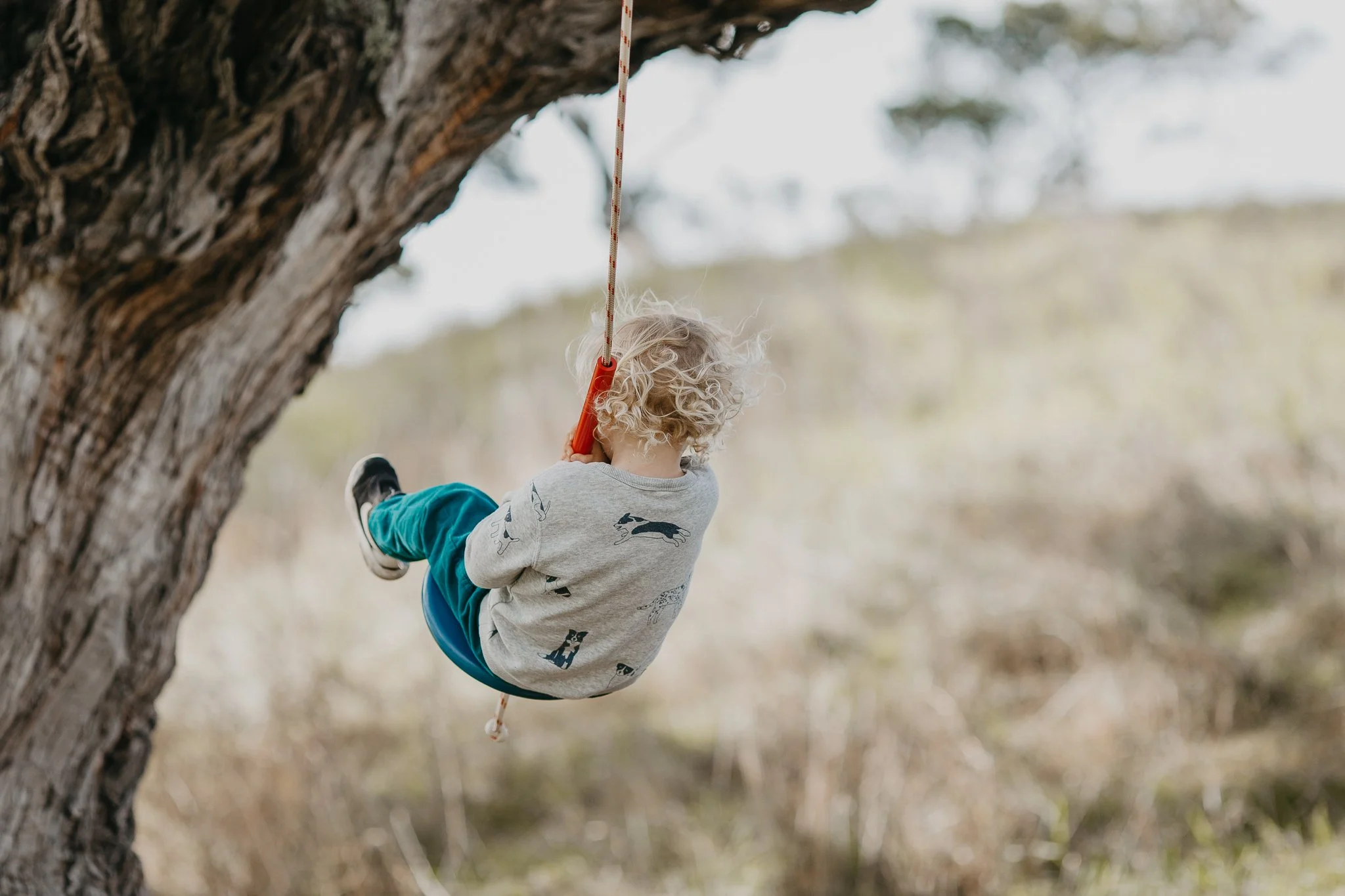 Neighbour swing-42.jpg