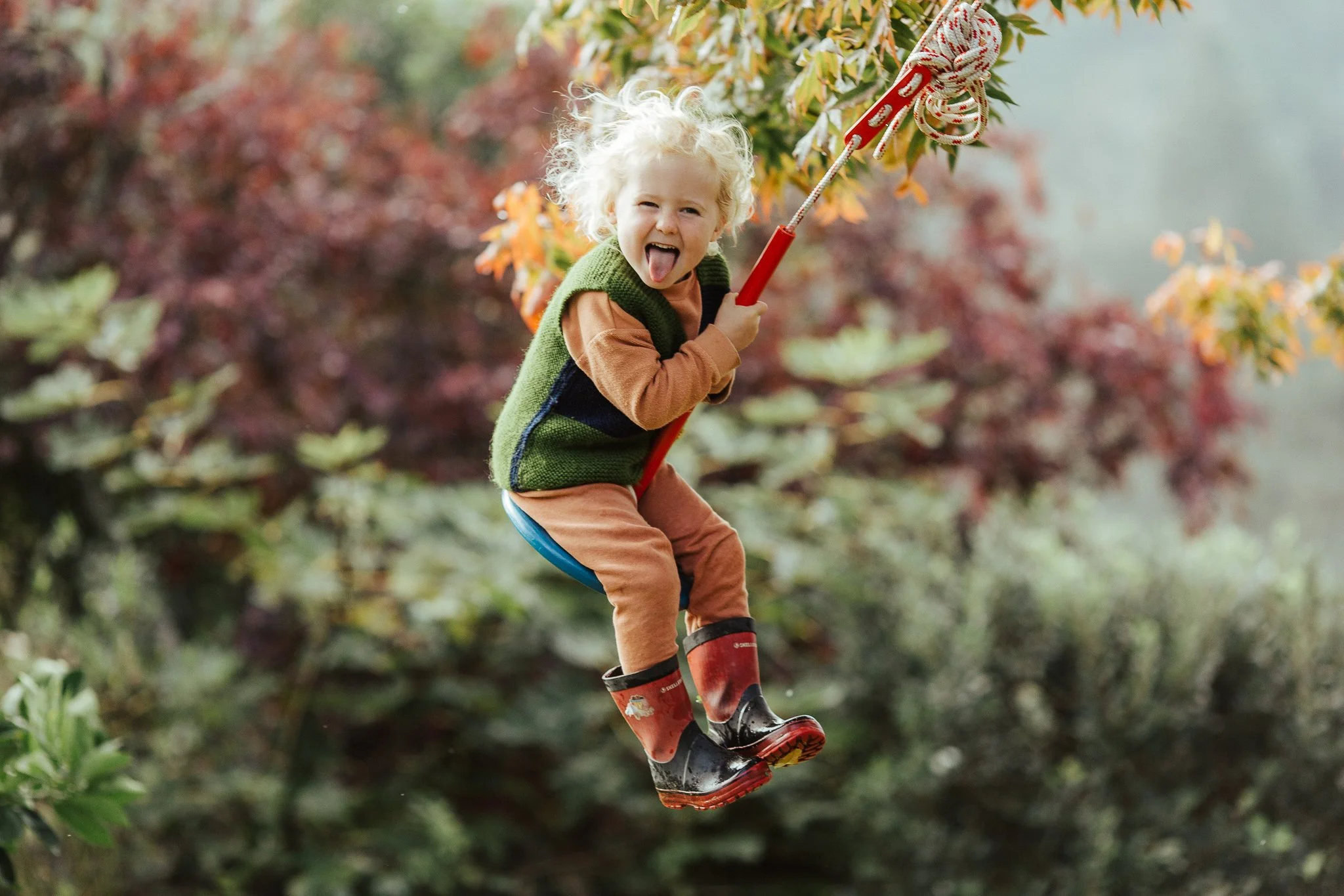 Neighbour swing-1.jpg