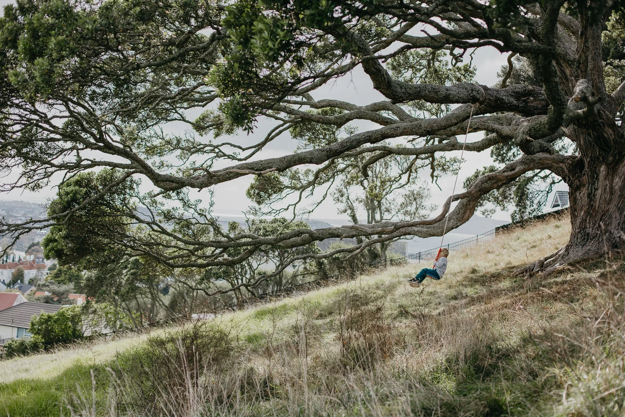 Neighbour swing-35.jpg