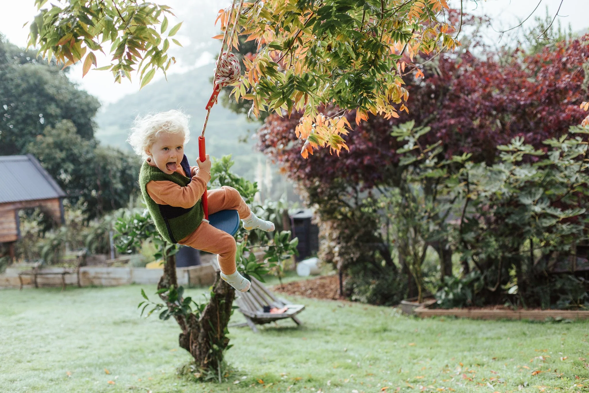 Neighbour swing-9.jpg