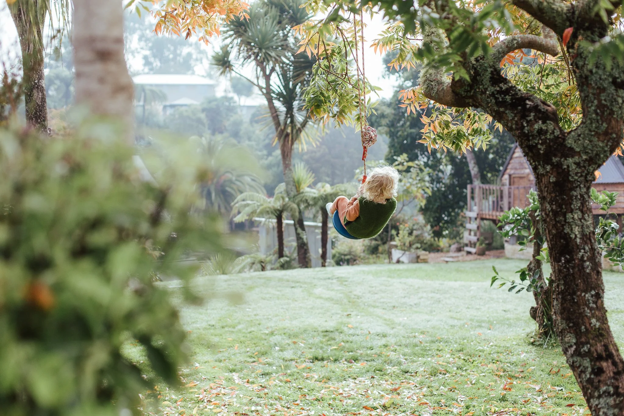 Neighbour swing-21.jpg