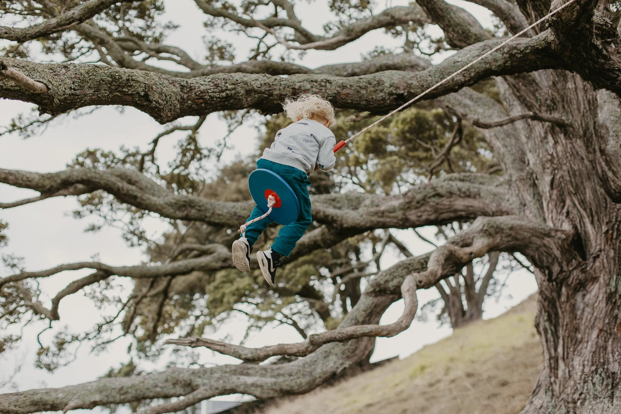 Neighbour swing-26.jpg