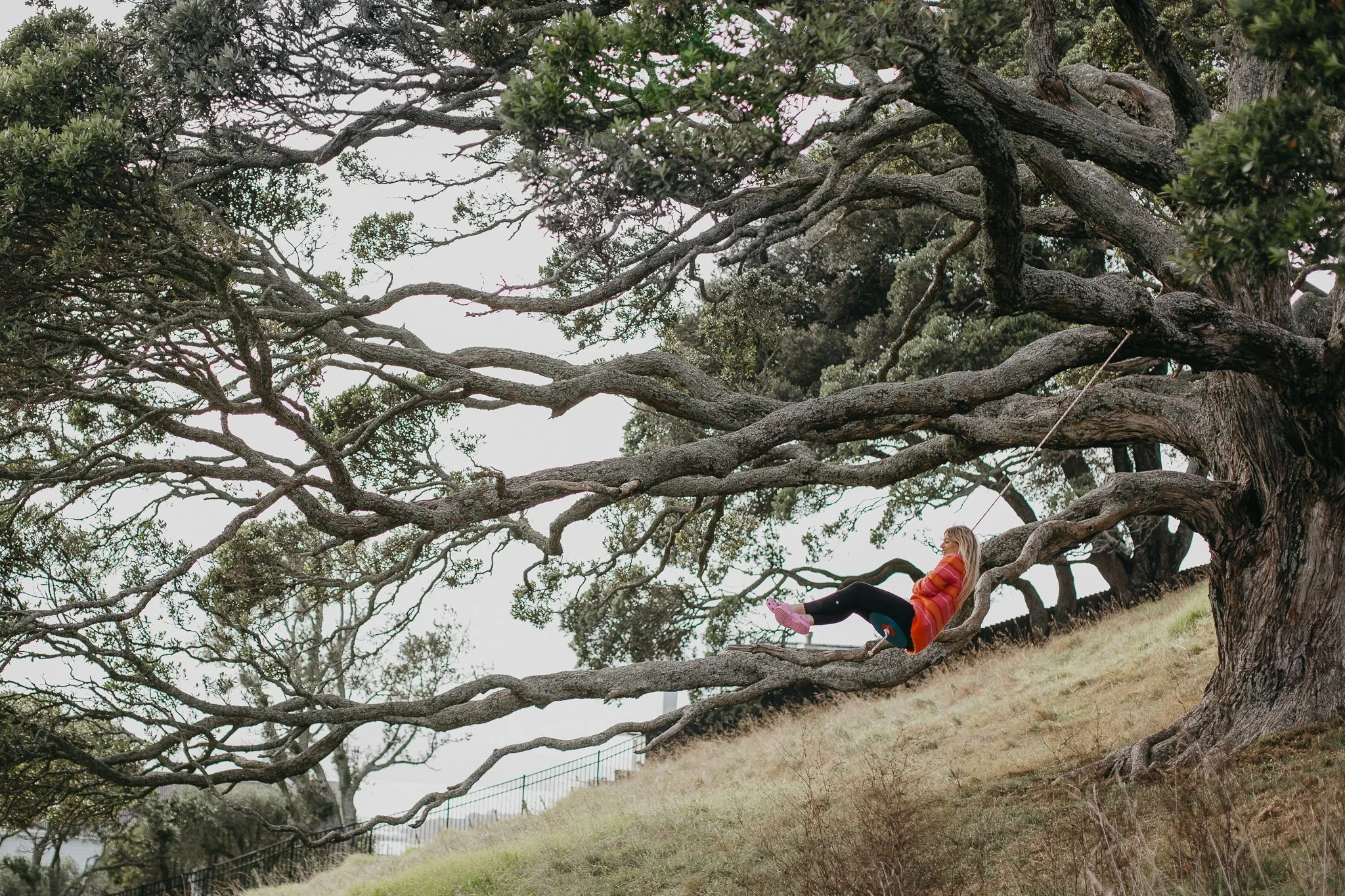 Neighbour swing-51.jpg