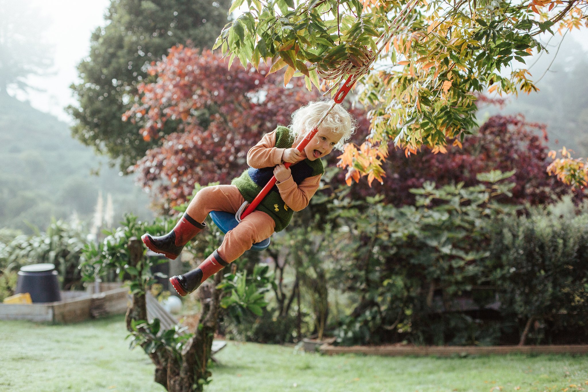 Neighbour swing-5.jpg