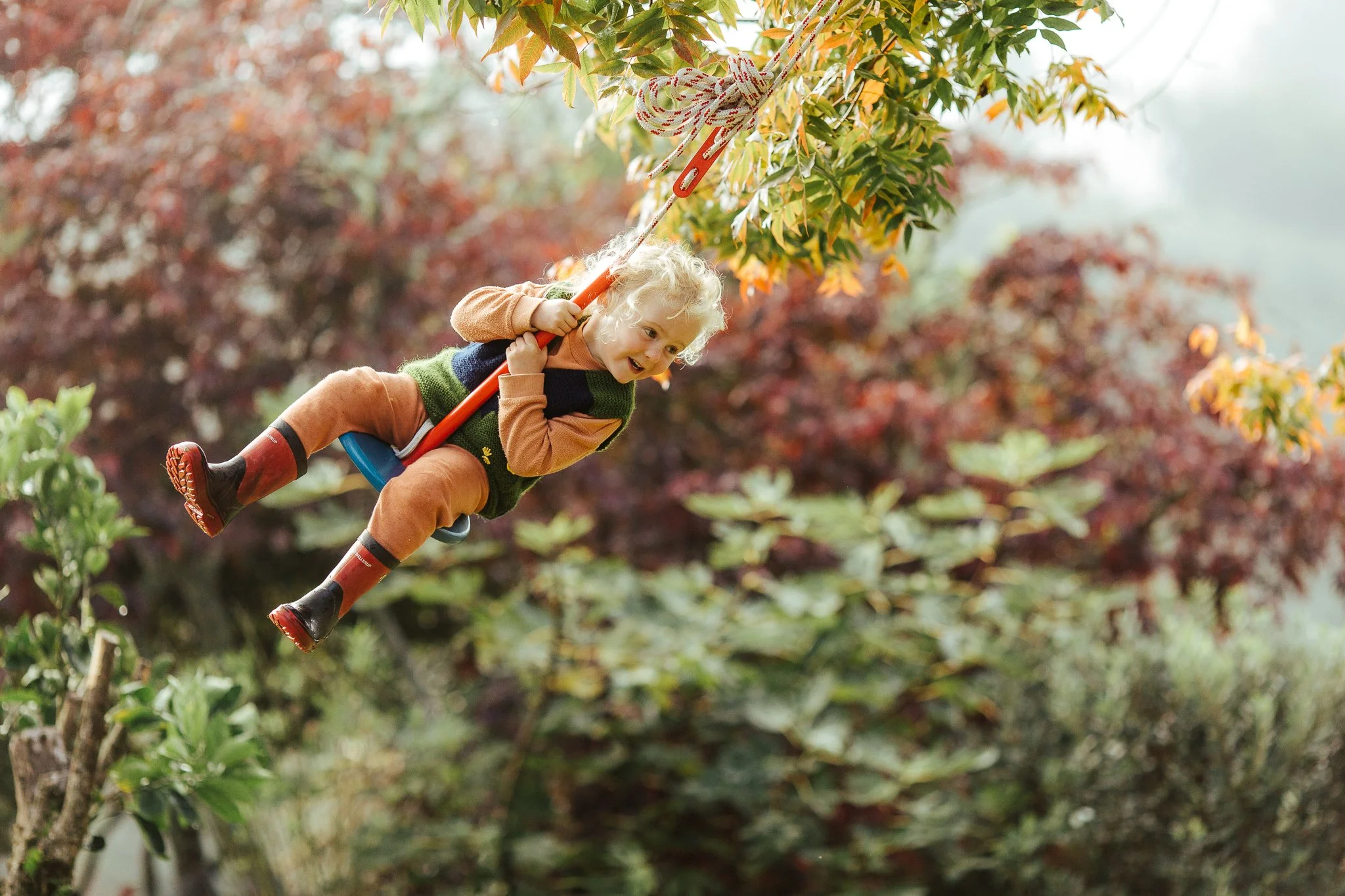 Neighbour swing-3.jpg