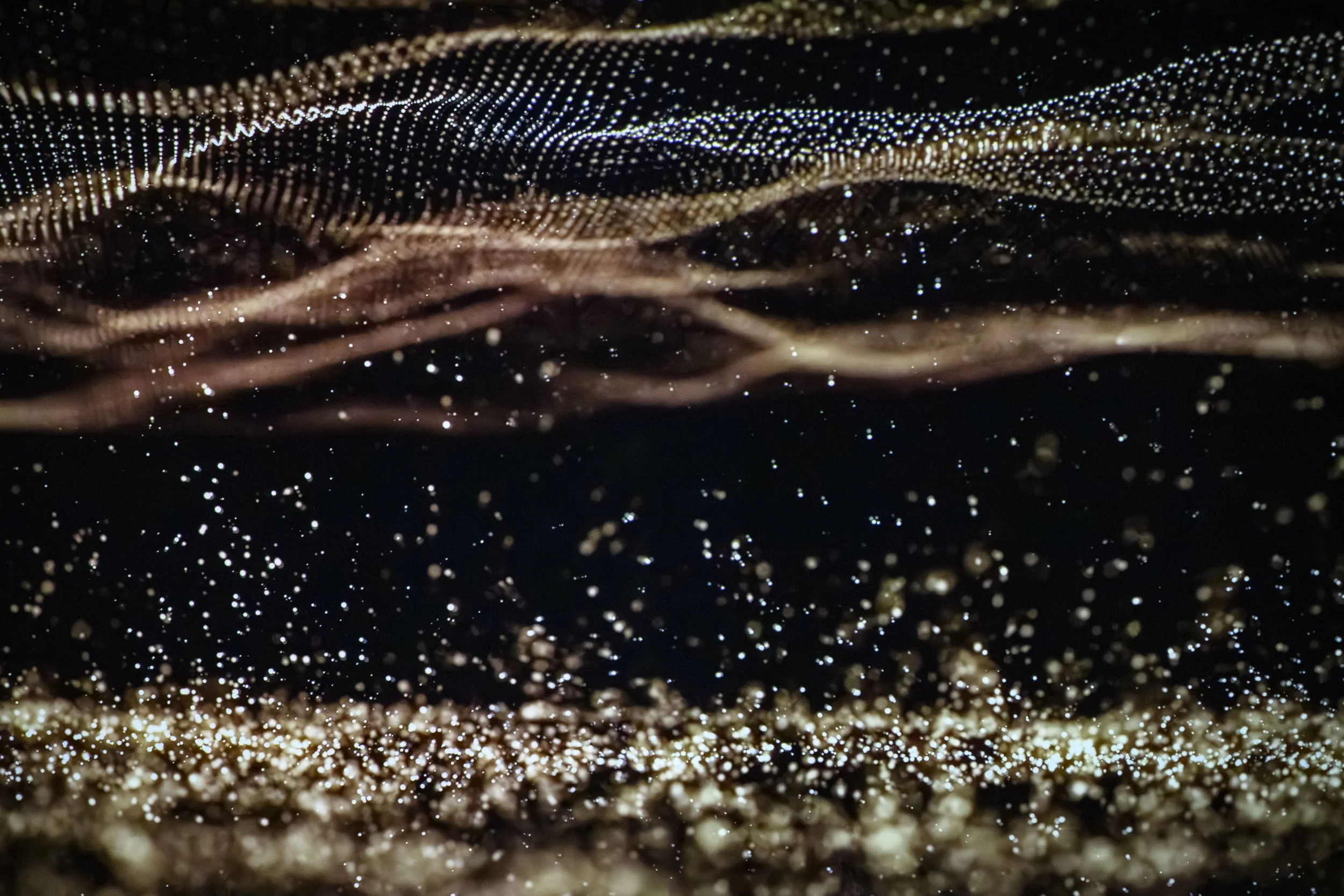 print -21.jpg