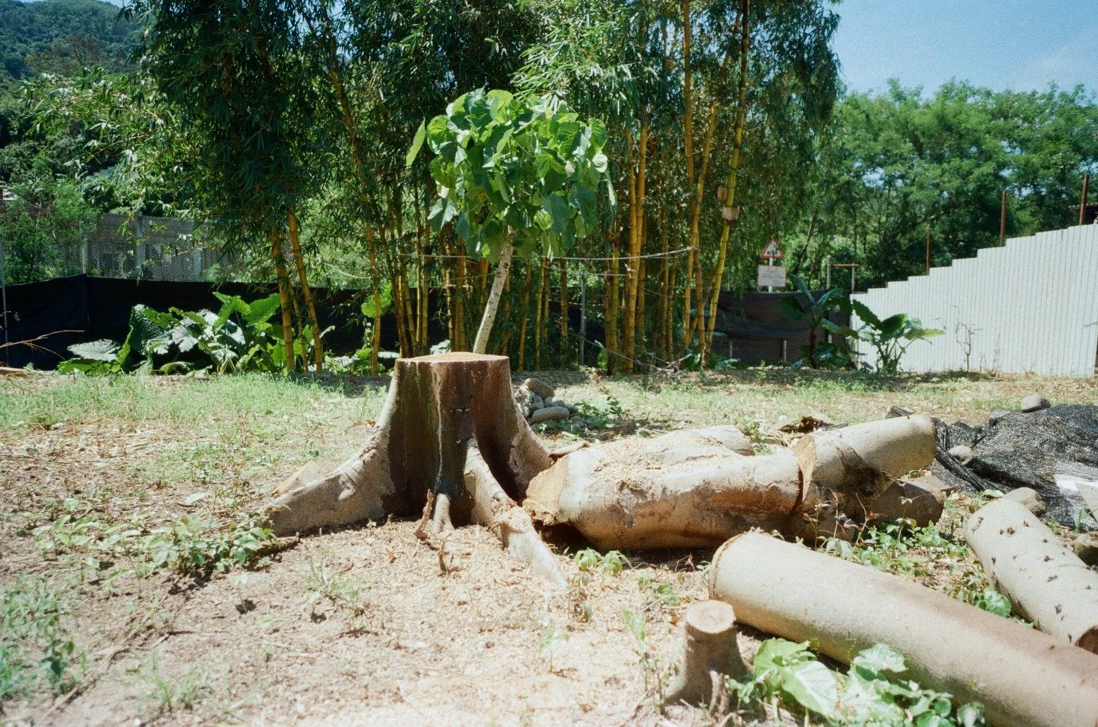 WhatsApp Image 2022-11-09 at 3.41.38 PM.jpeg