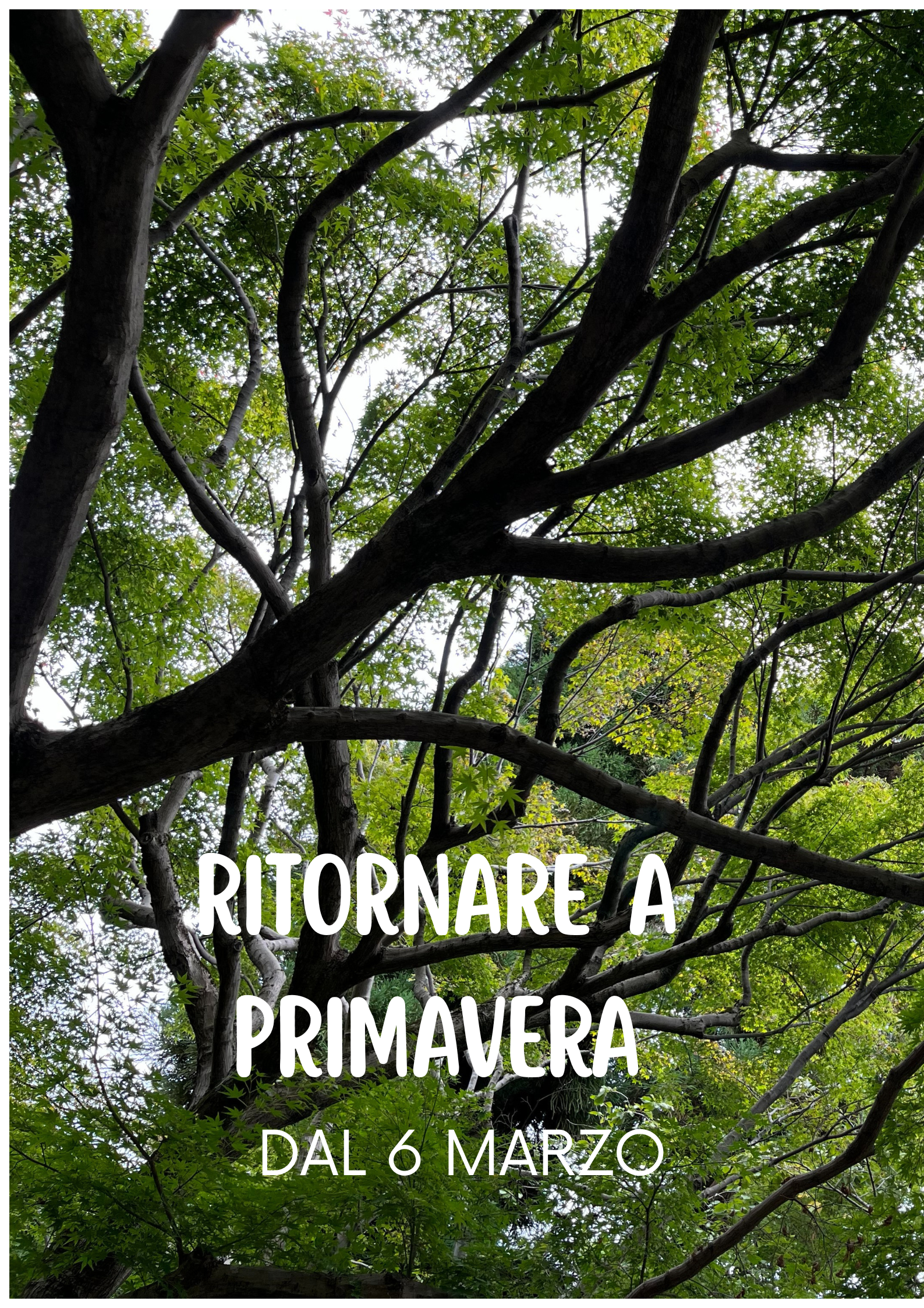 RITORNARE A PRIMAVERA