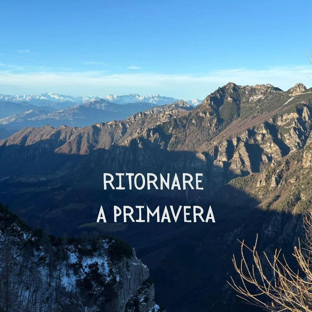 WhatsApp Image 2026-01-08 at 16.43.03.jpeg