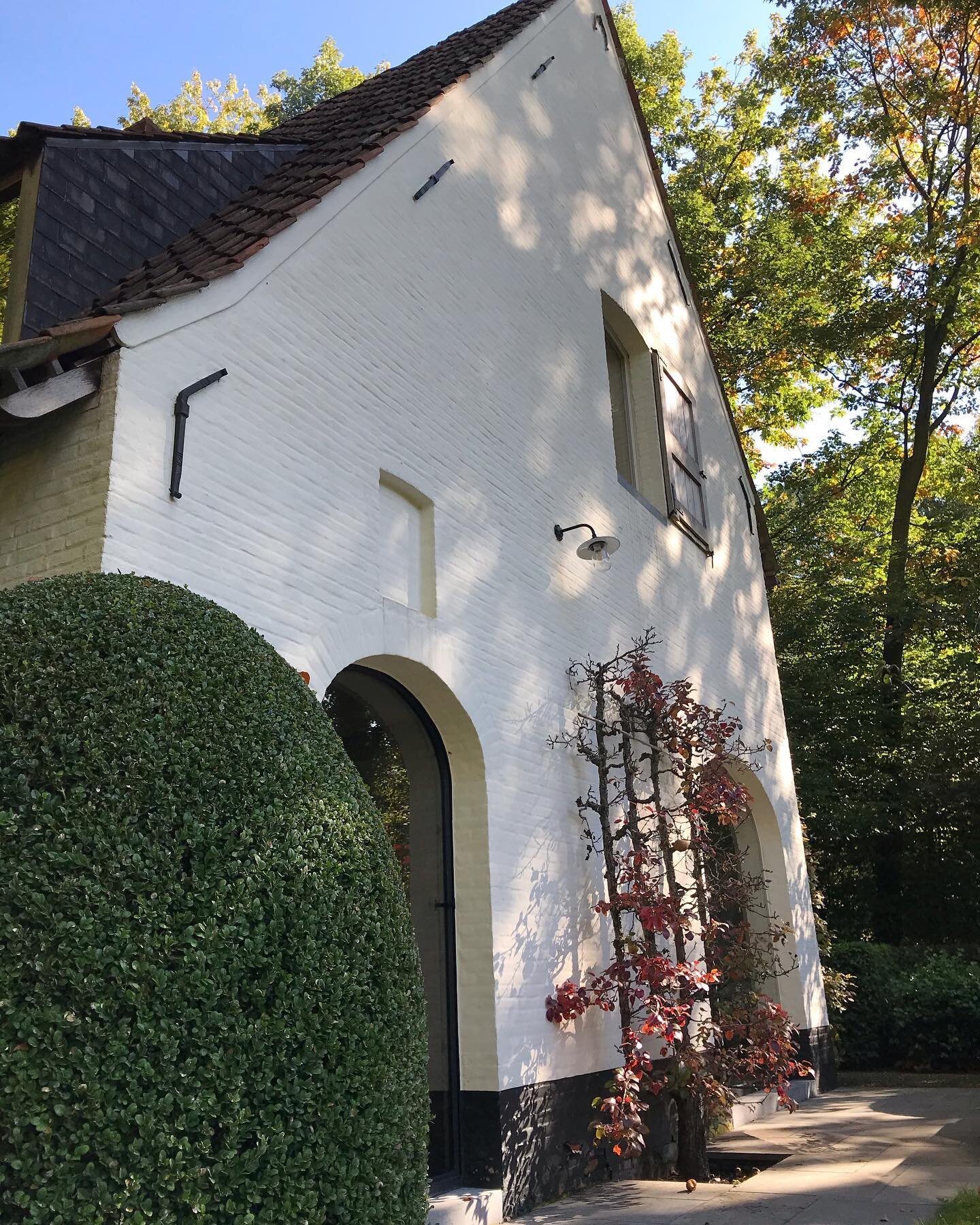 #herfst #tuinmetkarakter #tuinaanleg #tuinonderhoud #tuin #tuinarchitect #tuinaannemer #landelijketuin #tuinleven #countrygarden #garden #landscaping #indiansummer #outdoors #outdoorlife #greenworks