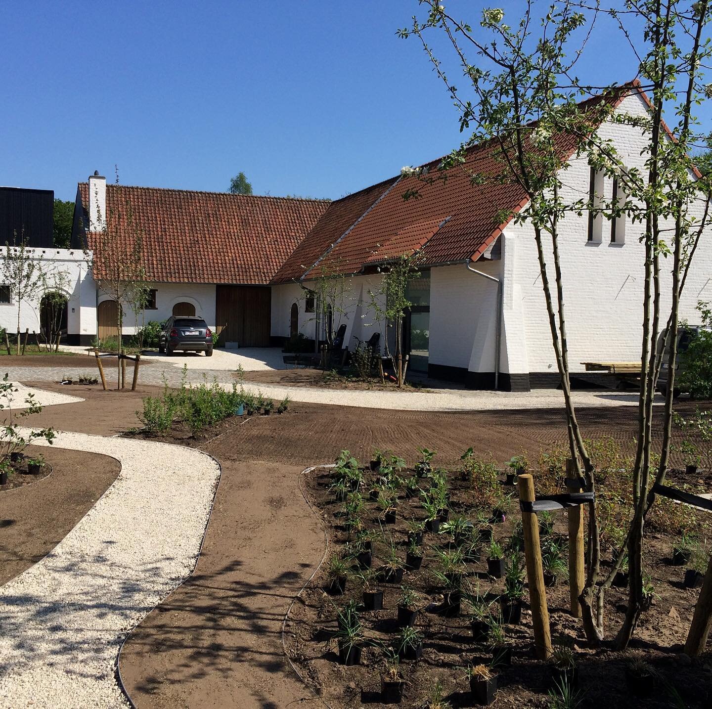 #newgarden #finishedproject #letitgrow #trees #multistem #plants #lawn #gravel #gardeninglife #outdoors #nature #sunnyday #outsideliving #farmhouse #authenticity