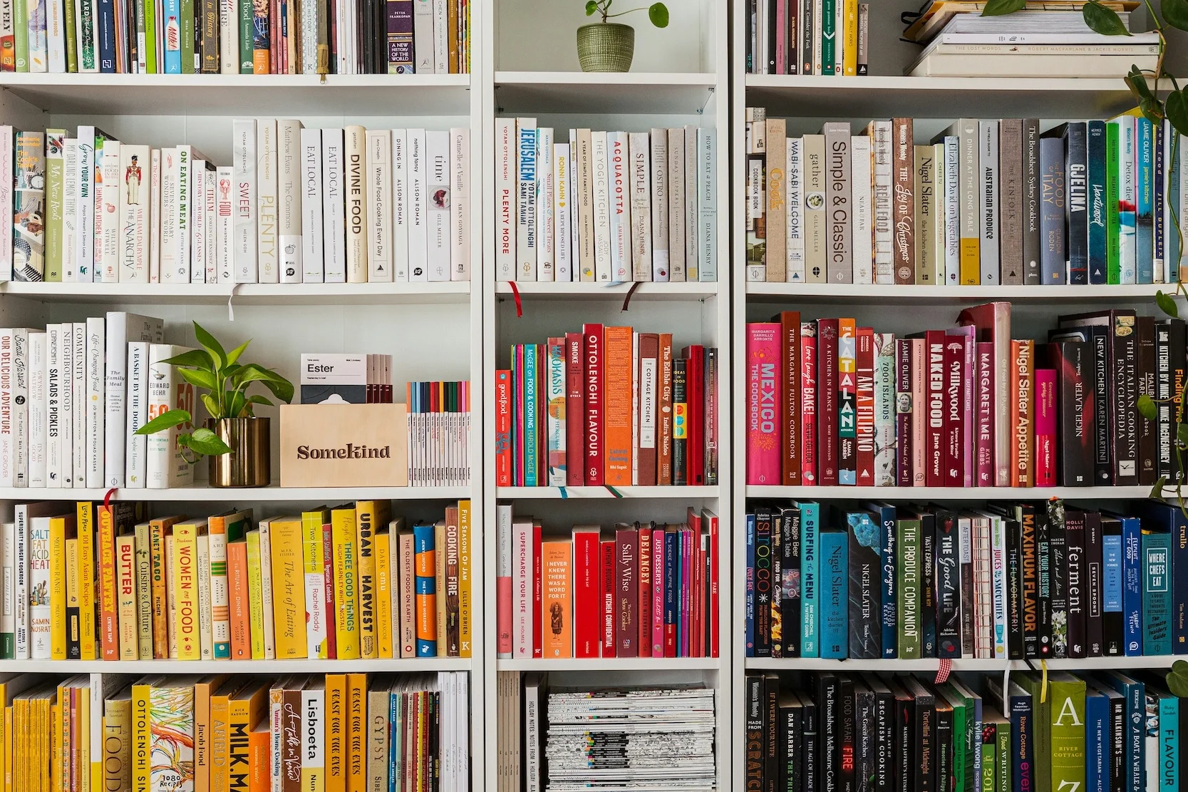 Why Books Are Becoming the New Cultural Status Symbol