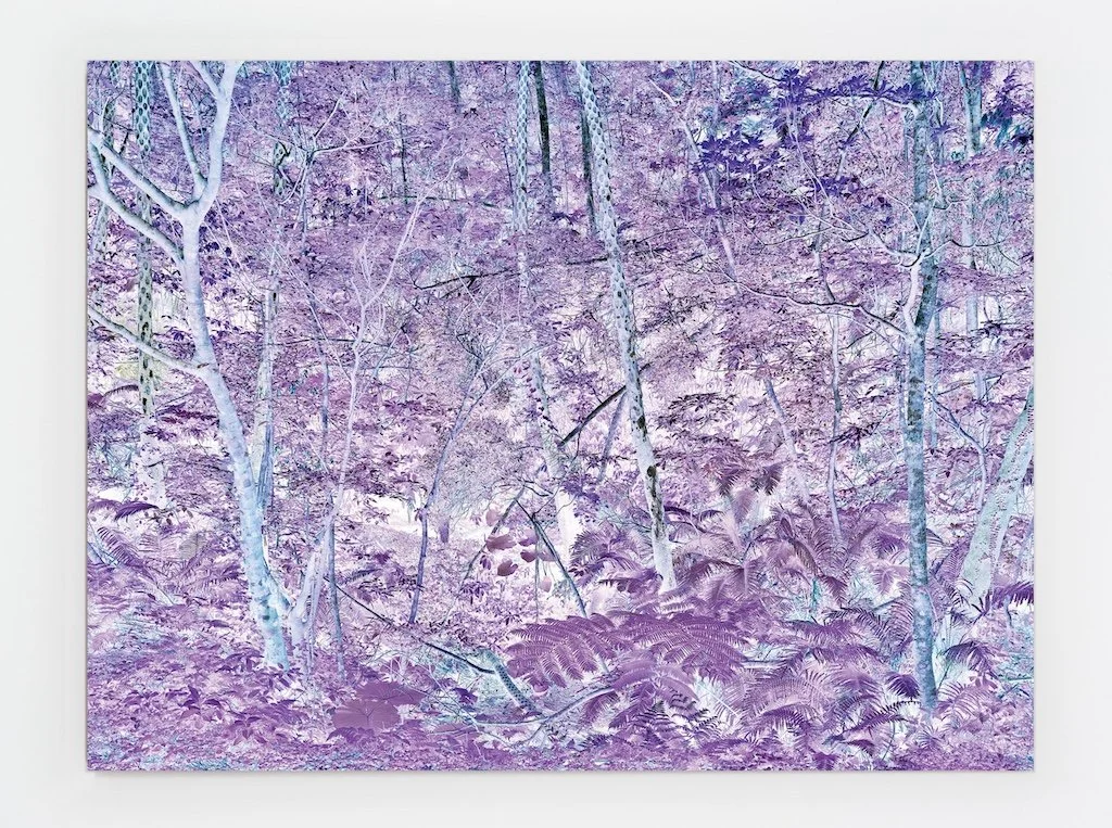 Large-scale photograph by Justin Brice Guariglia depicting a dense forest interior rendered in otherworldly purple and blue tones, with tall tree trunks and fern undergrowth filling the frame.