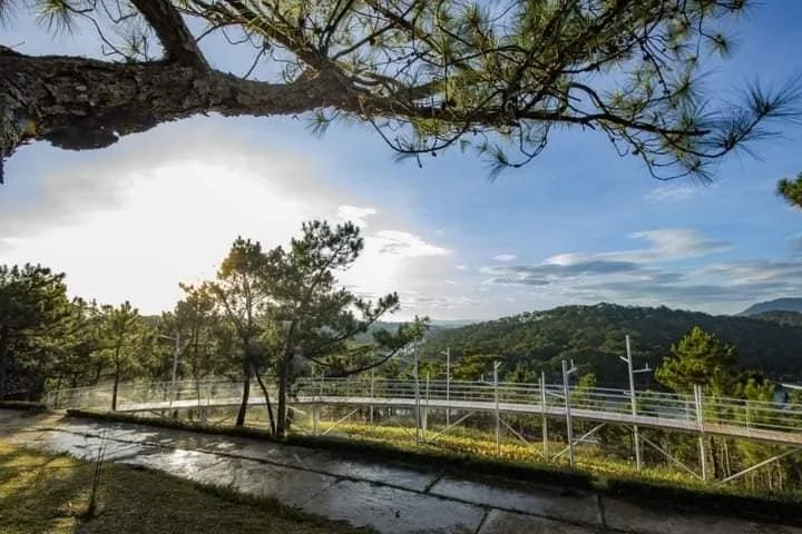 Sunlit landscape with trees, a mountain view, and a metal railing along a pathway.