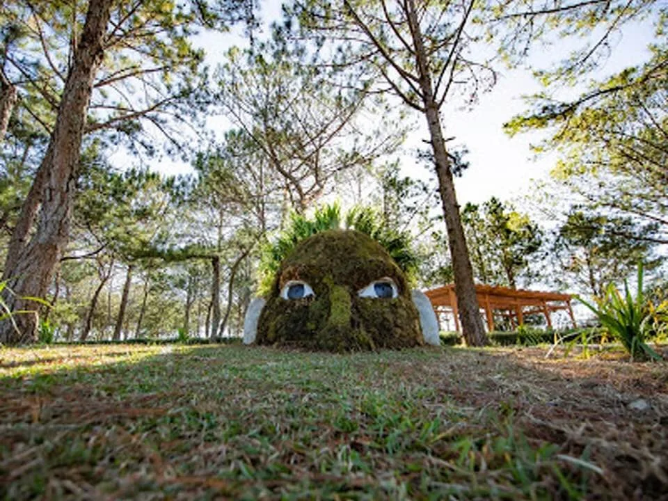 A large moss-covered rock with painted eyes and facial features, resembling a face, surrounded by trees in a park or forest setting.