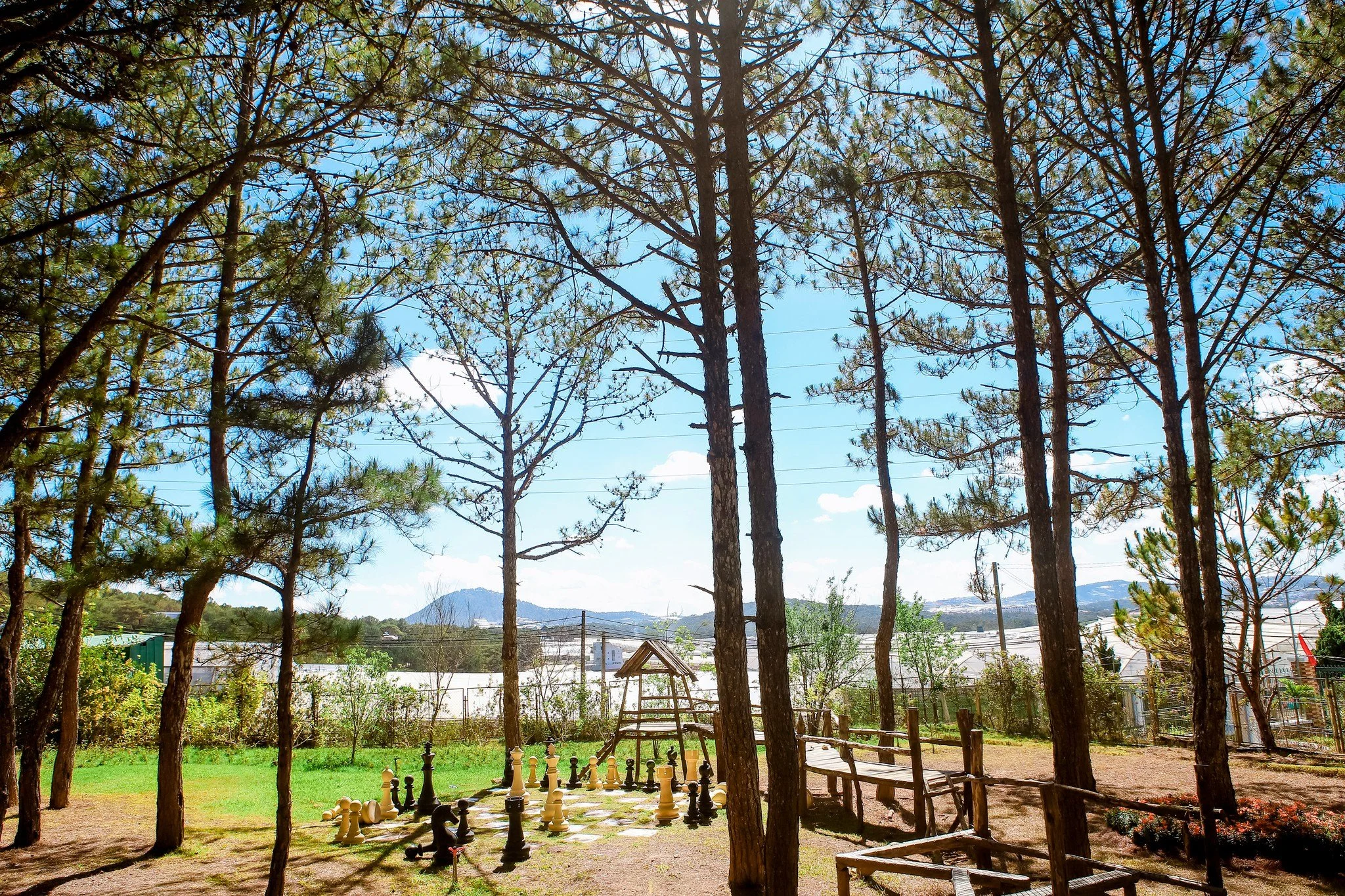 An outdoor scene features tall pine trees with sparse green needles, a large chess set with black and white pieces on a checkered board, a small wooden ladder, a wooden bench, and a rustic fence. In the background, there are distant hills, mountains,