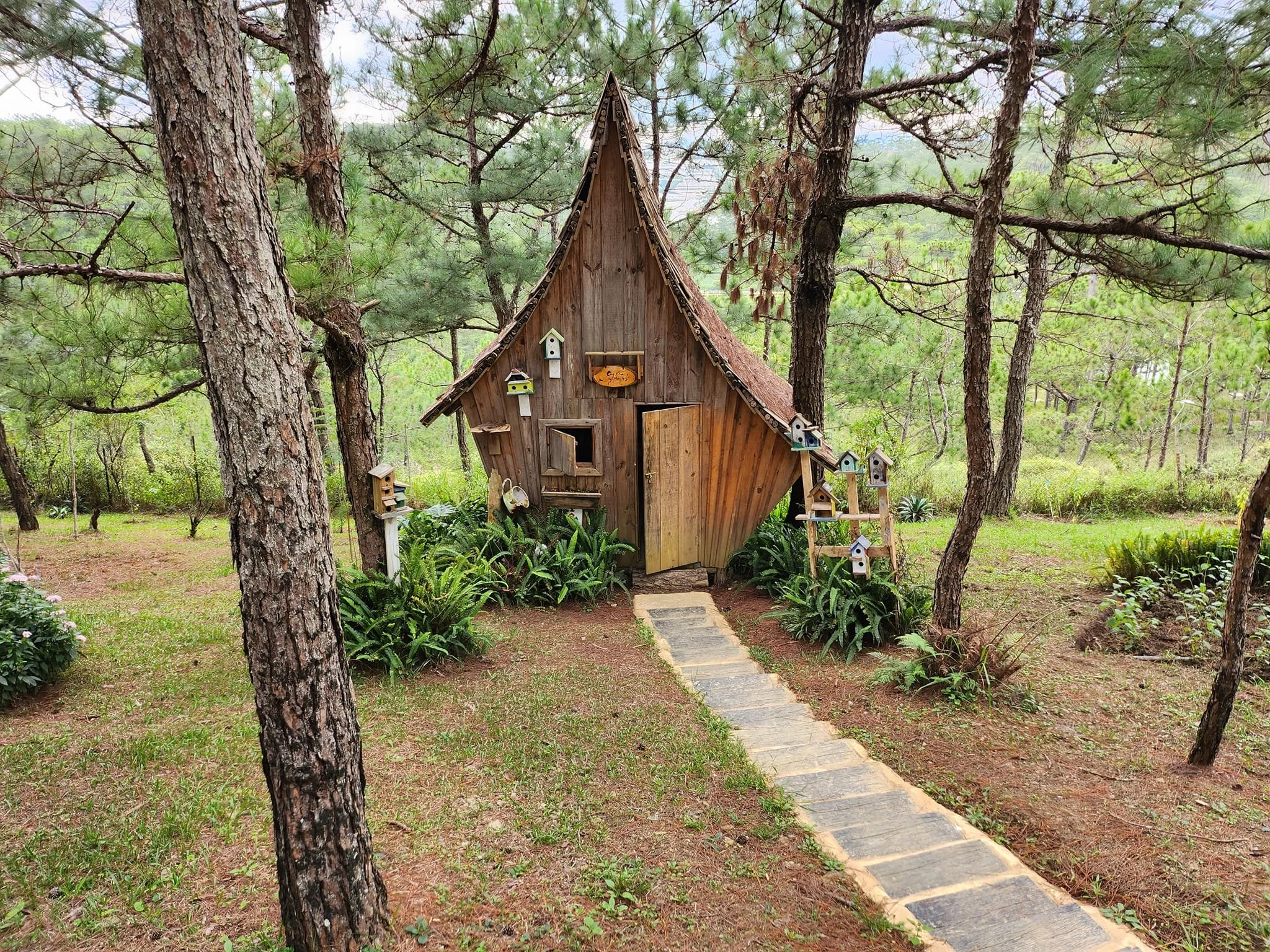 A whimsical wooden birdhouse cottage surrounded by trees and plants, with a stone pathway leading to its door.