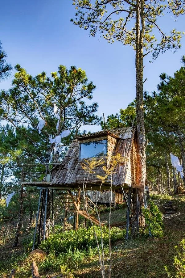 A small treehouse with wooden siding and a window, elevated on stilts in a forest, with paper ghosts hanging in the trees and a ladder leading up to it.