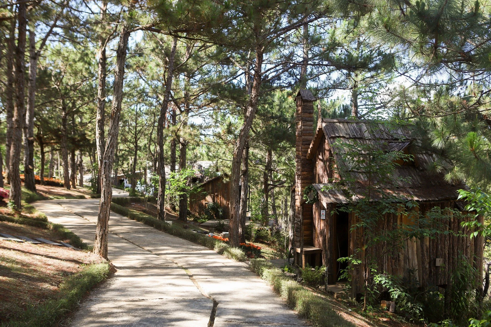 A paved walkway winds through a forested area with tall trees. There is a rustic wooden cabin on the right side of the path, partially obscured by greenery. The scene is brightly lit with sunlight filtering through the trees.
