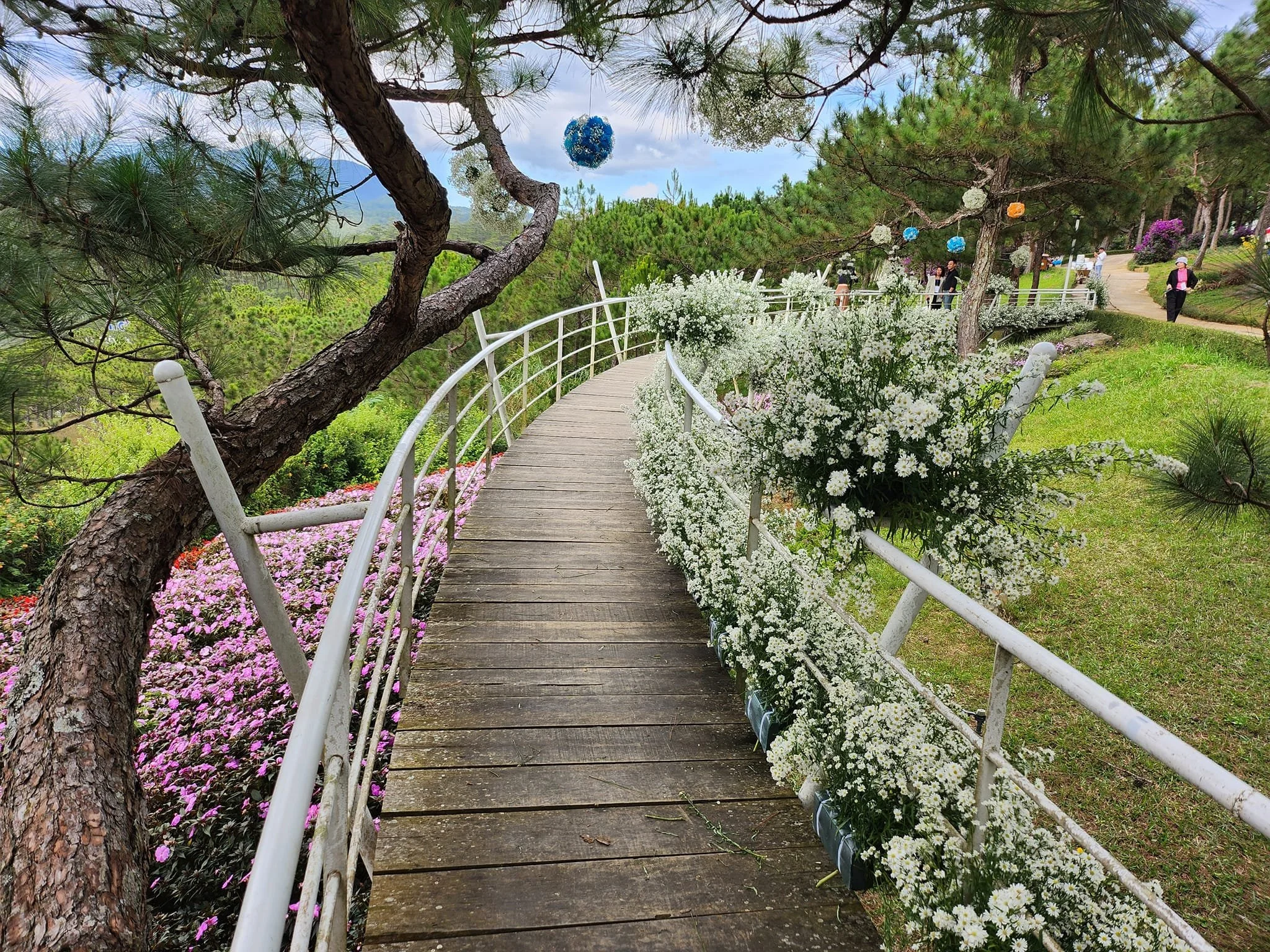A scenic wooden footbridge with white railings winding through a lush, vibrant garden filled with blooming white and pink flowers, surrounded by green trees and a few people walking in the distance.