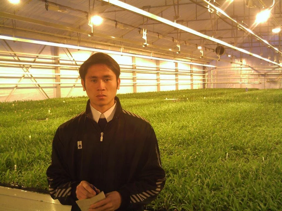 A young man standing inside a greenhouse filled with rows of green plants, under bright grow lights.