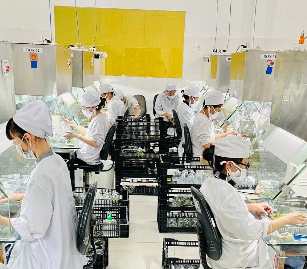 Workers in a cleanroom environment, wearing white lab coats, masks, and hair covers, working at illuminated workstations with black plastic carts, possibly assembling or inspecting small electronic or medical devices.