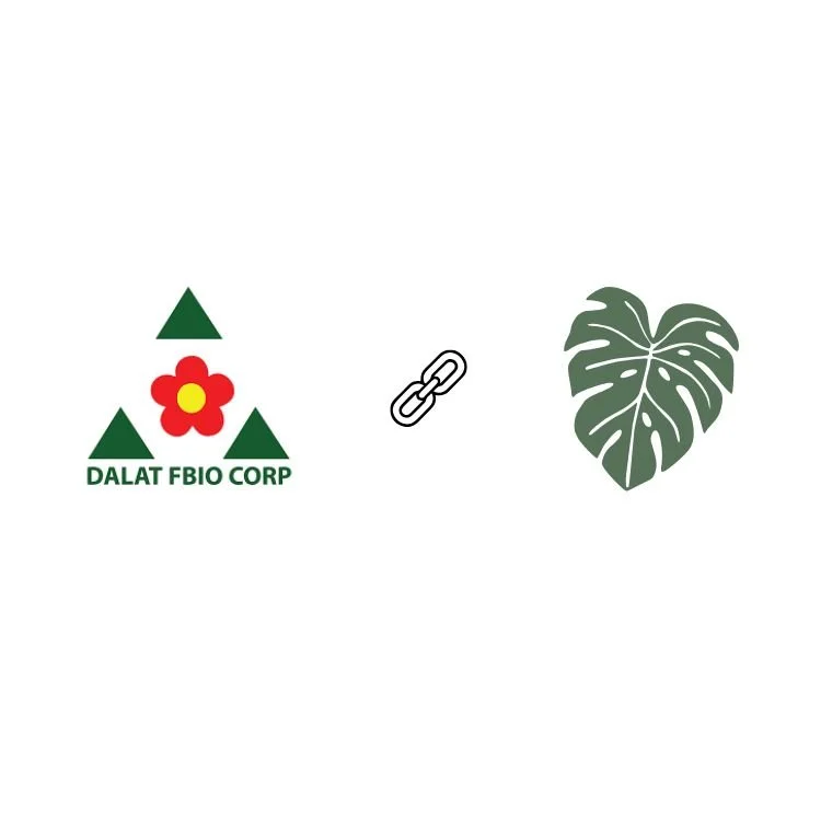 A logo of Dalat FBIO CORP with a red flower, green text, and green triangles, a small chain link icon, and a large monstera leaf
