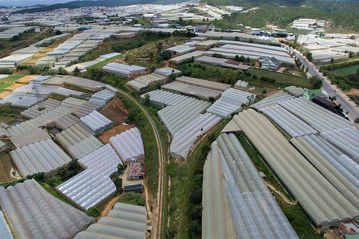 An aerial view of a large farm with numerous greenhouses spread across the landscape.