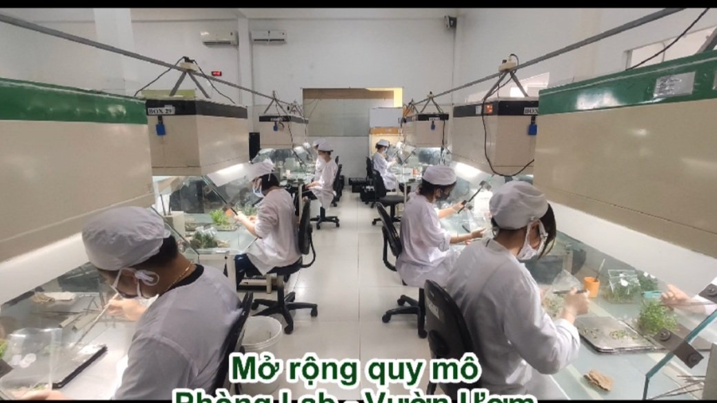 Laboratory with multiple scientists or technicians working under safety hoods, wearing white coats, hair covers, and face masks, handling plants or samples in a controlled environment.