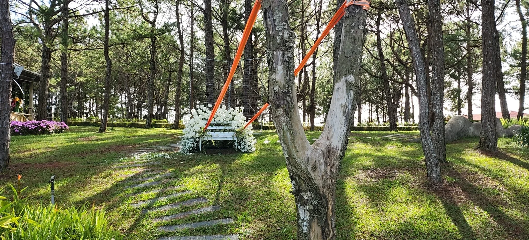 A white bench decorated with white flowers in a forested area, with orange poles and netting nearby, surrounded by trees and greenery.