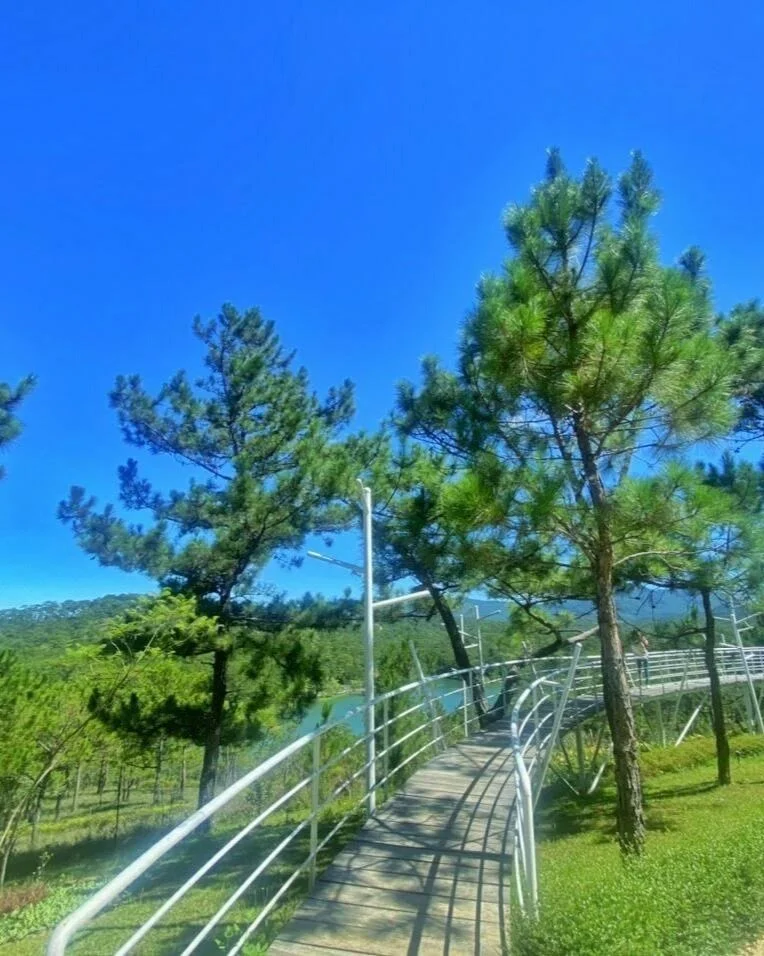 A curved walkway with white railings in a lush green park, surrounded by tall trees under a bright blue sky.