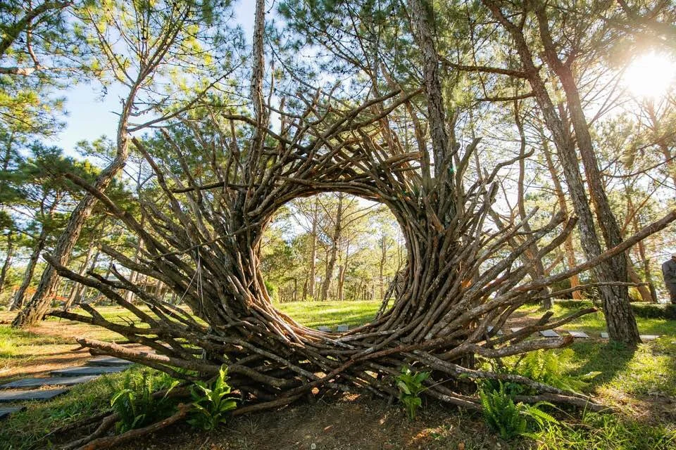 A large, circular sculpture made of intertwined tree branches in a forest clearing, with sunlight filtering through the trees.
