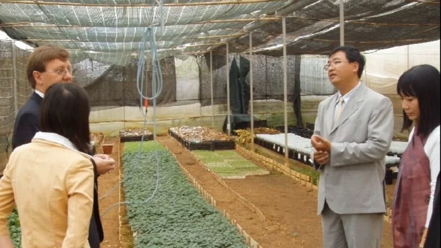 Group of people having a conversation in a greenhouse with trays of young plants and seedlings.