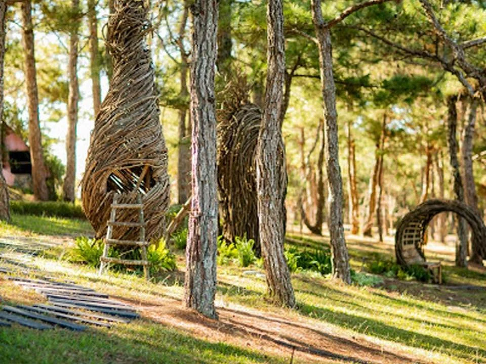 A whimsical park with twisted tree sculptures and woven tree houses in a forest setting, sunny day.