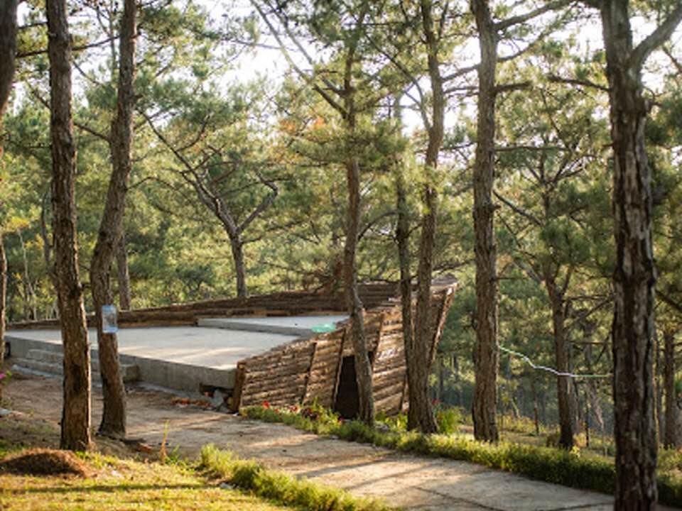 An abandoned swimming pool covered with a tarp, surrounded by tall pine trees in a wooded area.