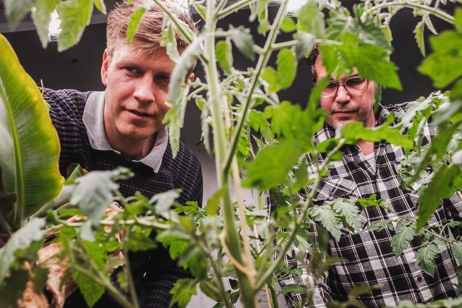 Smart farmers greenbrand fotografie reportage ecologische startu