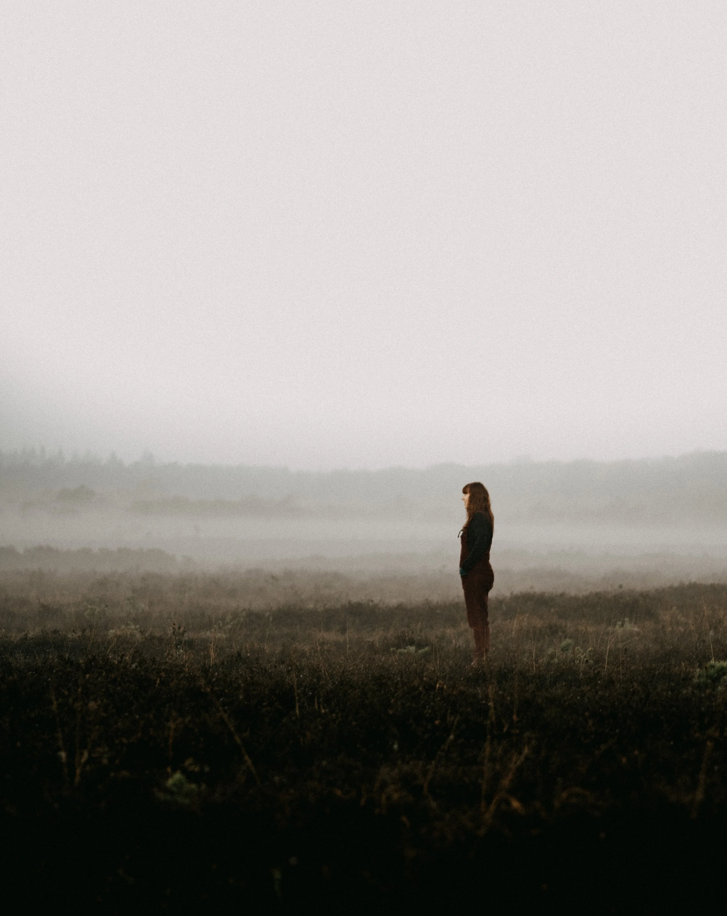 annie-spratt-AIMBgIPcQ9M-unsplash (1).jpg