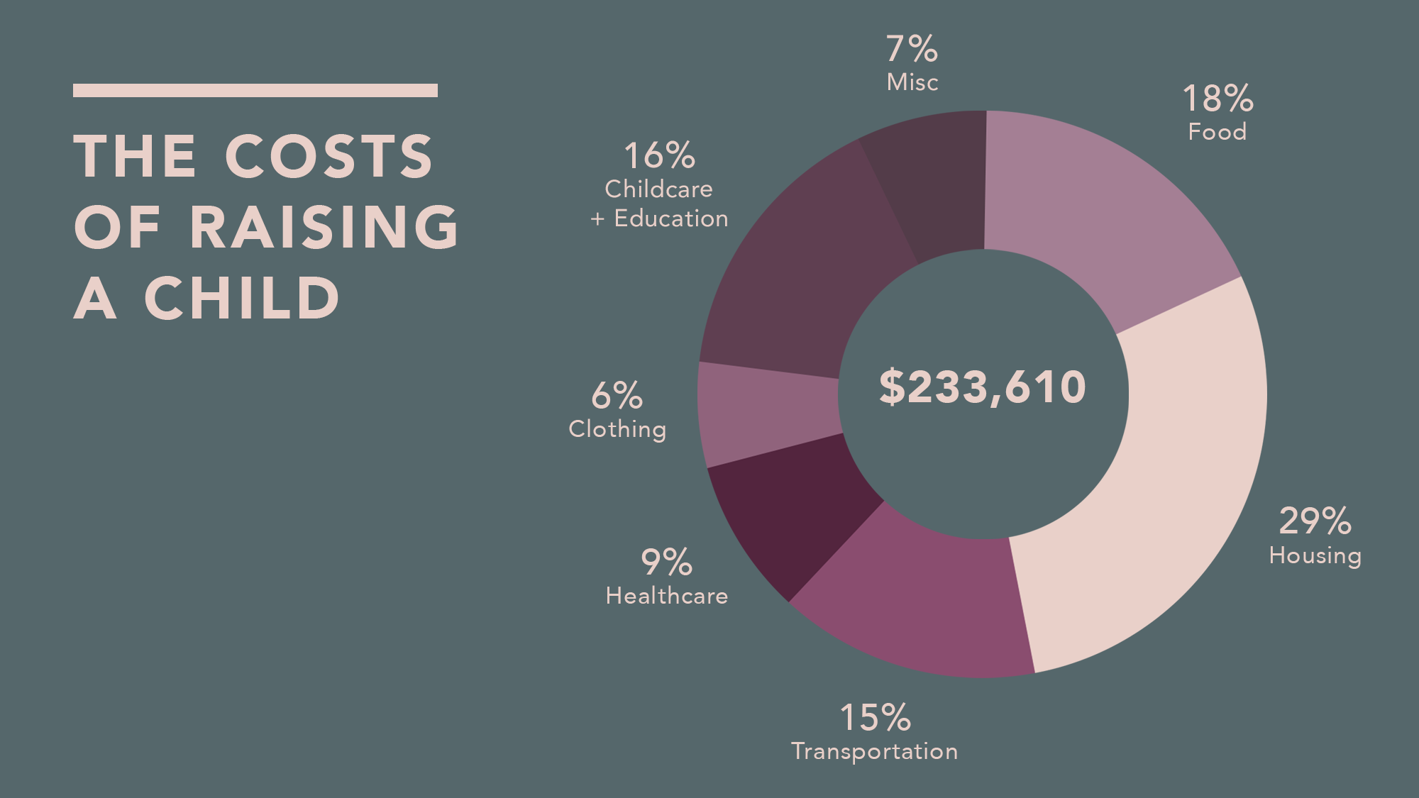 How Much Does It Cost to Raise a Child? — Mirza