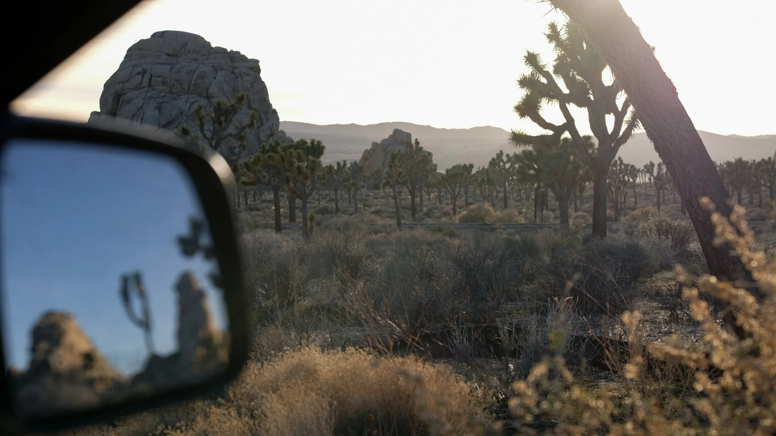Joshua Tree sideview mirror.jpg