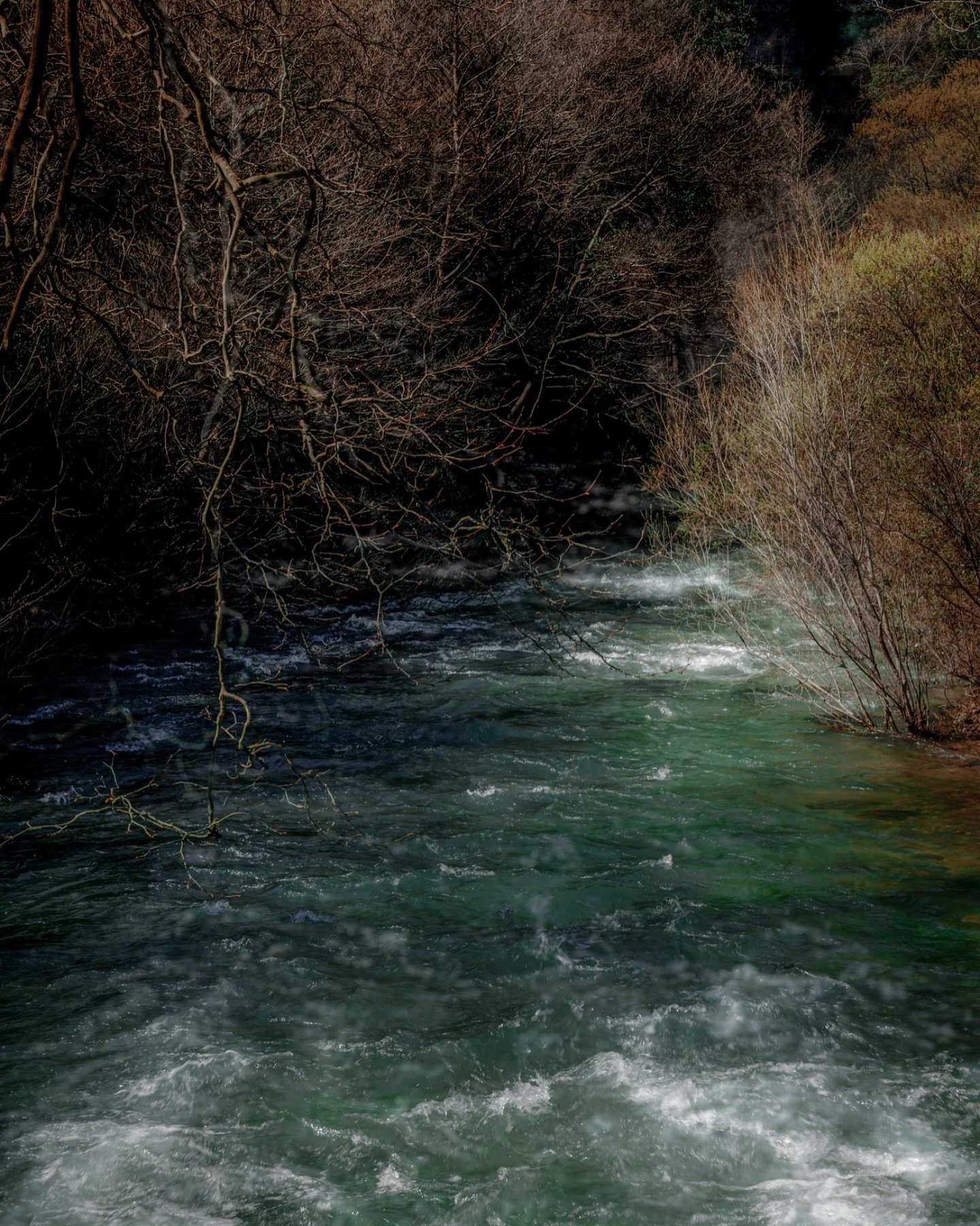 After what seems like weeks of rain, the rivers are running fast and free. All that wonderful spring energy feels a good place to focus the mind right now.

.
#creativephotography #riverphotography #seasonality #naturetales #natureandnuture