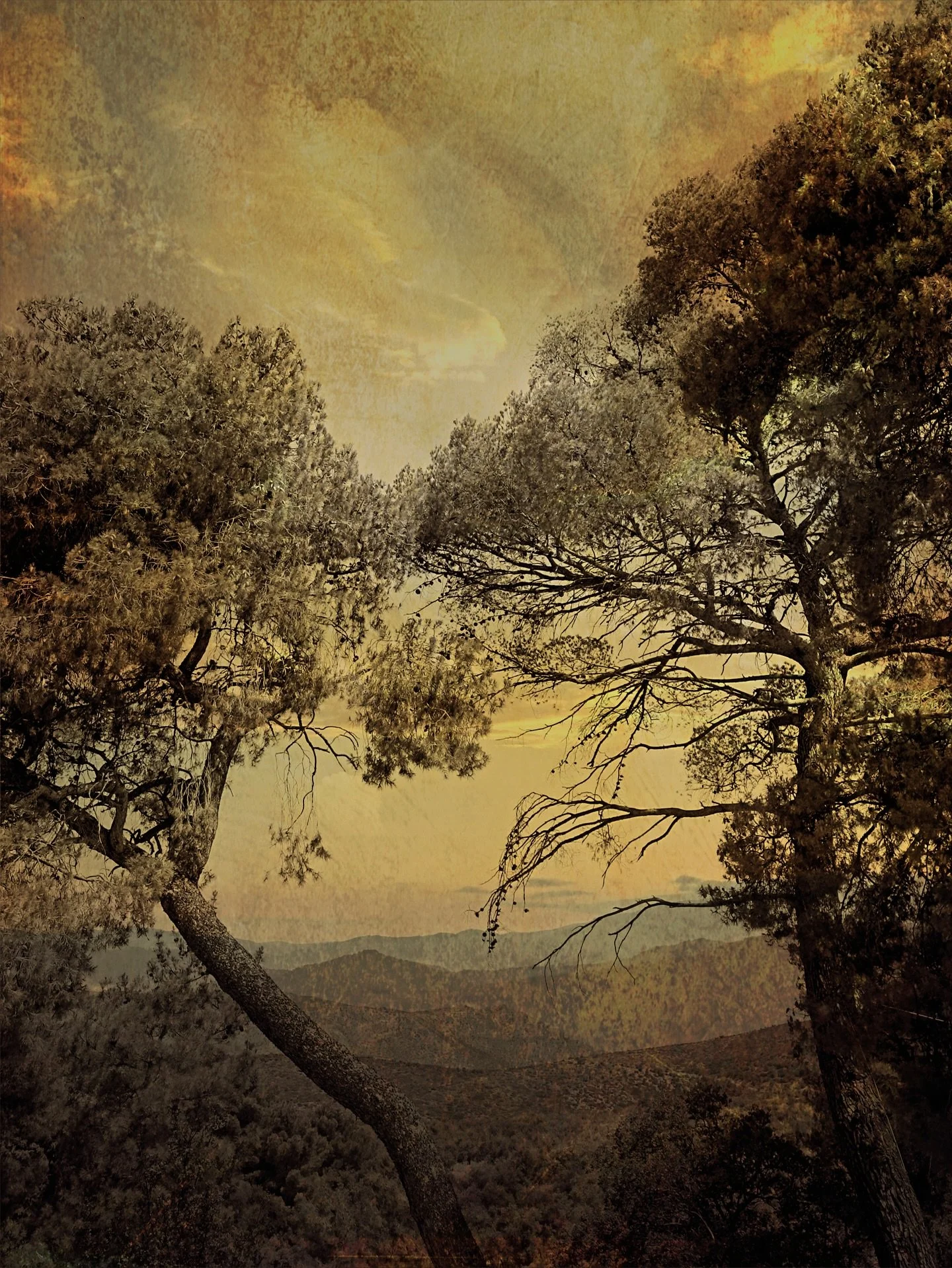 Across the valley 

.
#hillsandvalleys #landscape_captures #creativephoto #naturephotography #landscapeartphotography #moody_captures