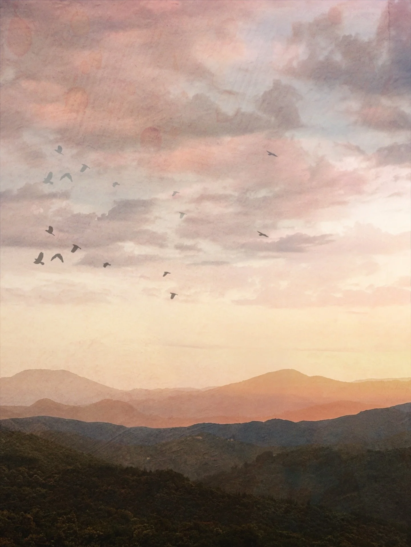 Sticky apricot skies. June is finishing on a hot note!

.
#summersunset #creativesunset #summerheat #frenchcountryliving #quietmoments