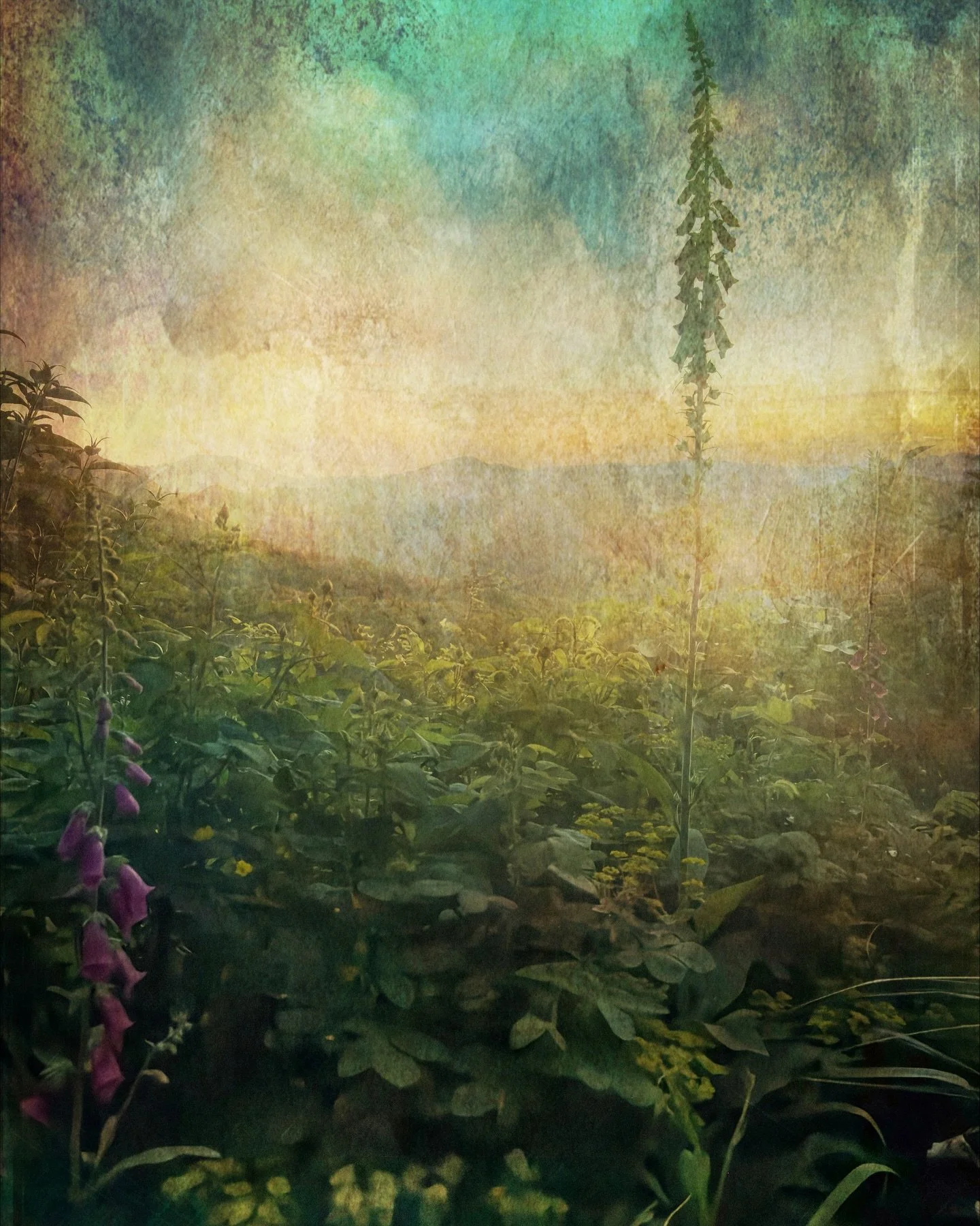 Buttercups, alliums, foxgloves and new grasses interlaced with the musky perfume of rambling roses.