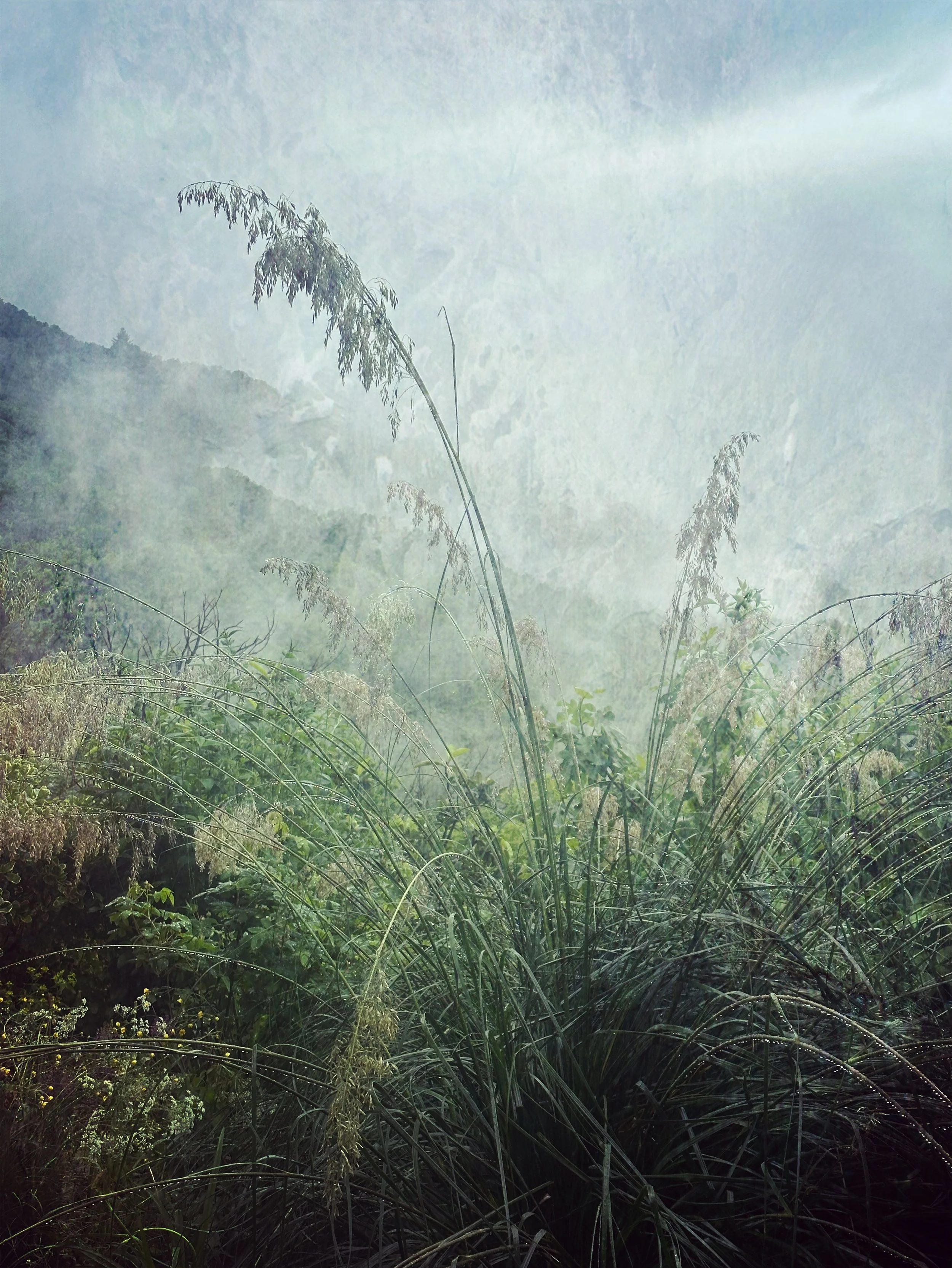 Misty May Mornings 

.
#creativelandscape #creativephotography #natureescape #natureandnourish