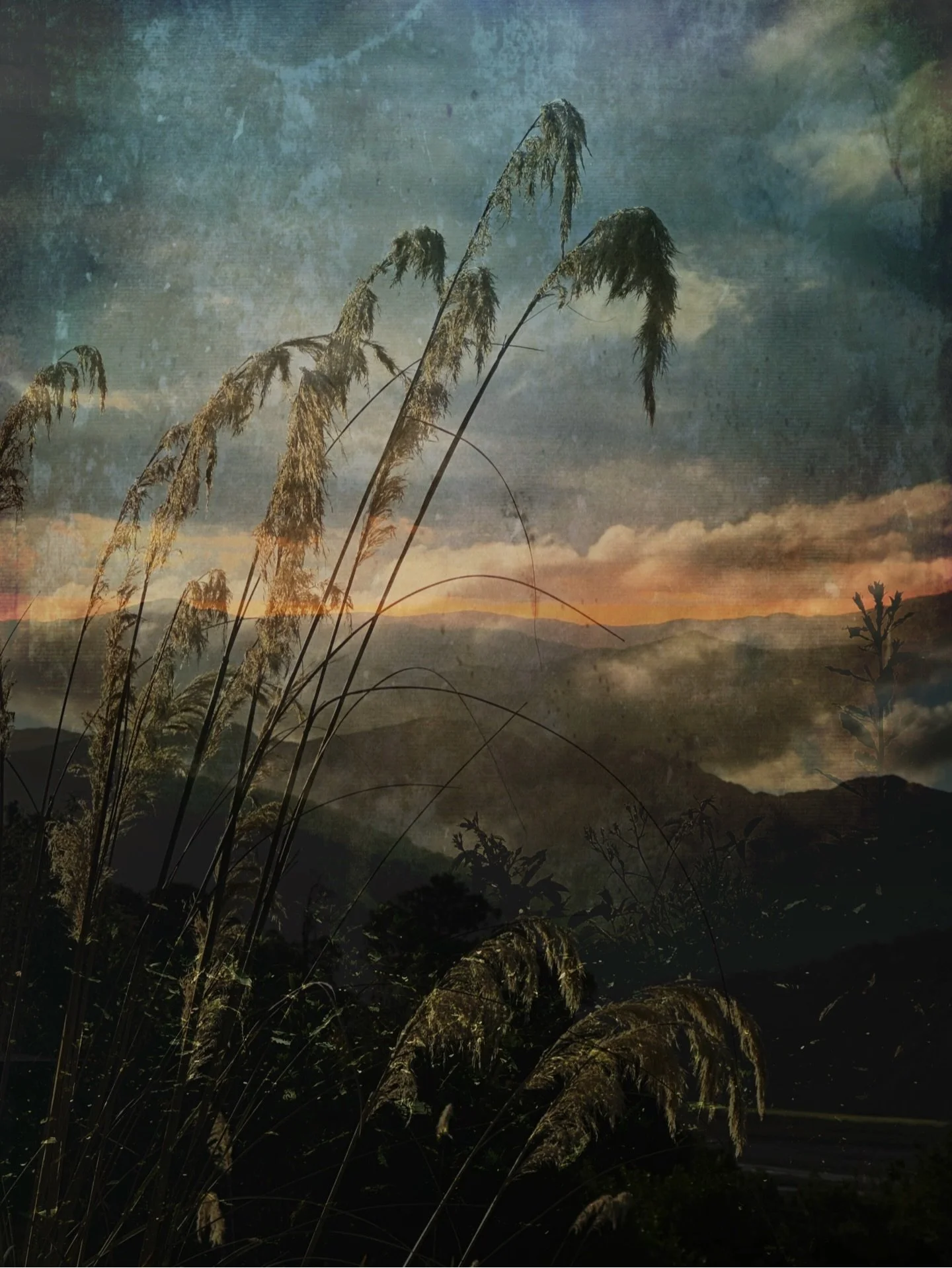 Homage 

.
#creativephotography #natureandnourish #sheclicksnet #lightanddark